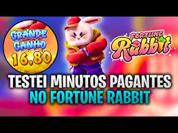 7 rabbit.com